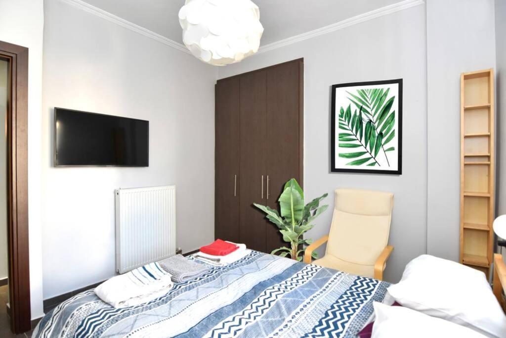 Modern In The Heart Of The Larissa